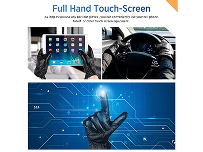 Genuine Sheepskin Leather Gloves for Men